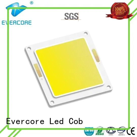 Evercore bd1375 chip cob from China for reseller