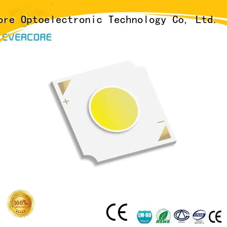 Wholesale led led chip Evercore Brand