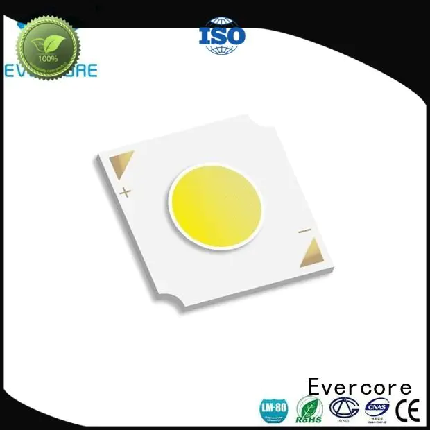 Evercore Brand cob led led led chip
