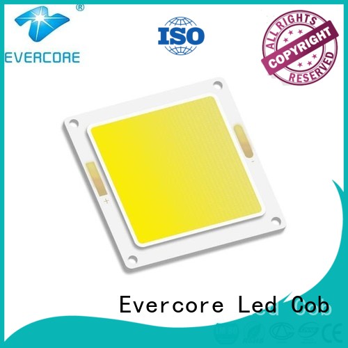 Evercore Brand cob common size