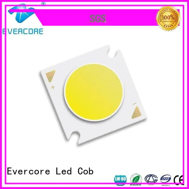 led led chip led Flip Chip Evercore Brand cob
