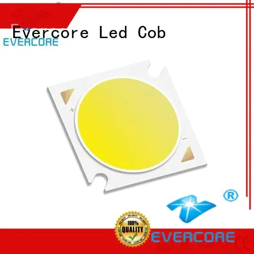 cob led Evercore led chip