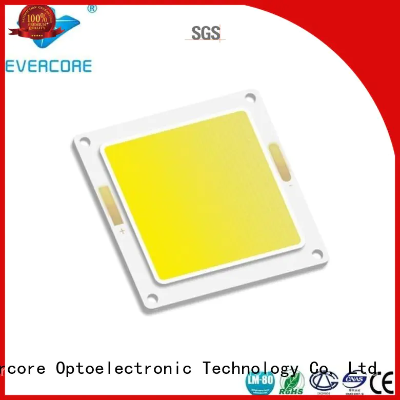 Evercore best smd led chip Asia company for sale
