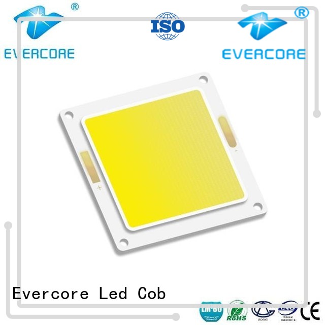 stable supply chip cob led from China for sale Evercore