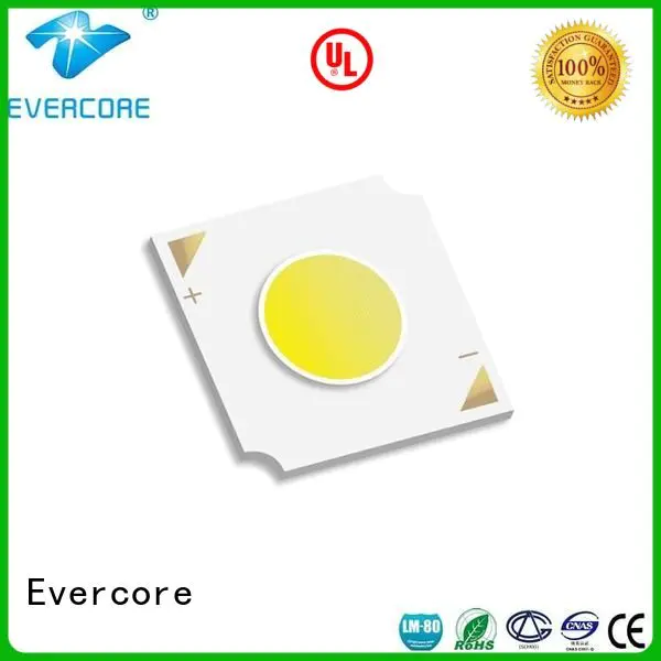 Hot led chip led cob cob Evercore Brand