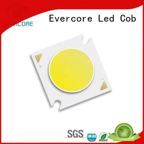 led Hot led chip cob Flip Chip led Evercore cob