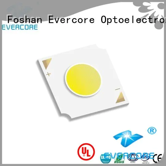 led chip led Flip Chip Evercore Brand