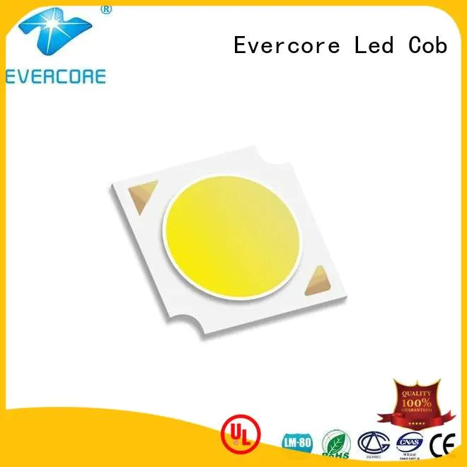 led cob
 Custom Flip Chip cob led led Evercore