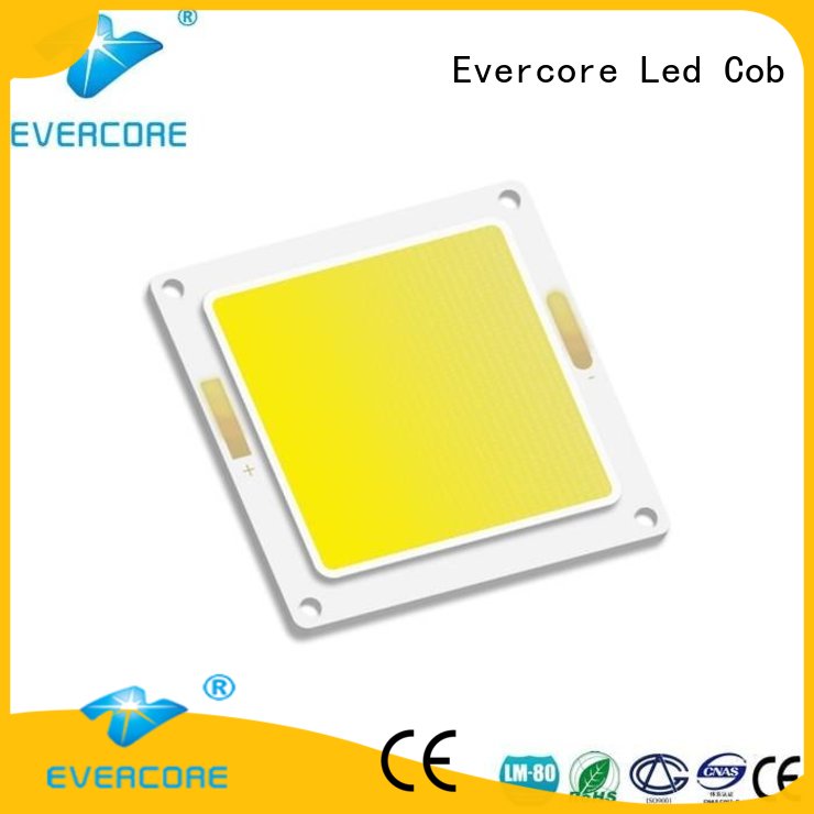 led chip light bd13105 for reseller Evercore