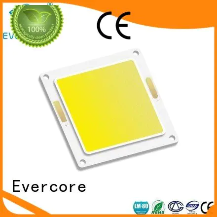 Evercore Brand cob led chip led led