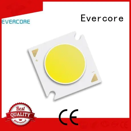 led chip cob Flip Chip led Evercore