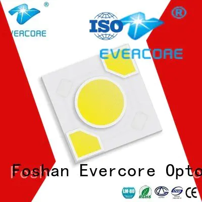 Evercore Brand ac modules cob Light Engine COB Modules