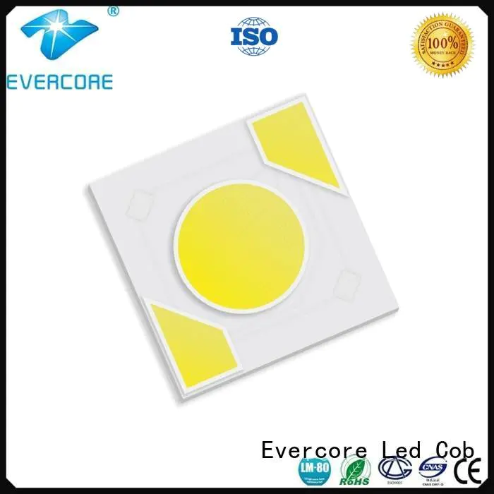 Evercore Brand modules led warm light ac cob