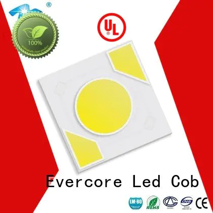 warm light cob Light Engine COB Modules Evercore Brand