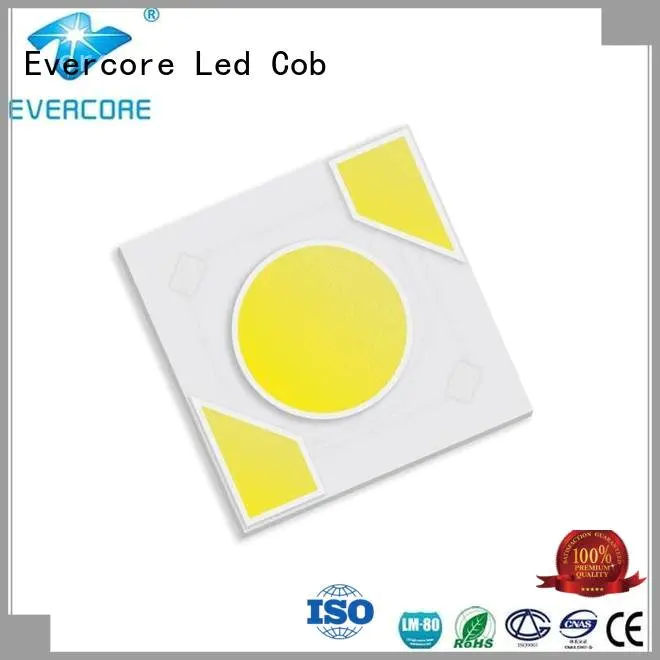 modules Light Engine COB Modules Evercore warm light