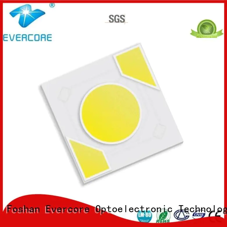 Evercore Brand modules cob ac warm light