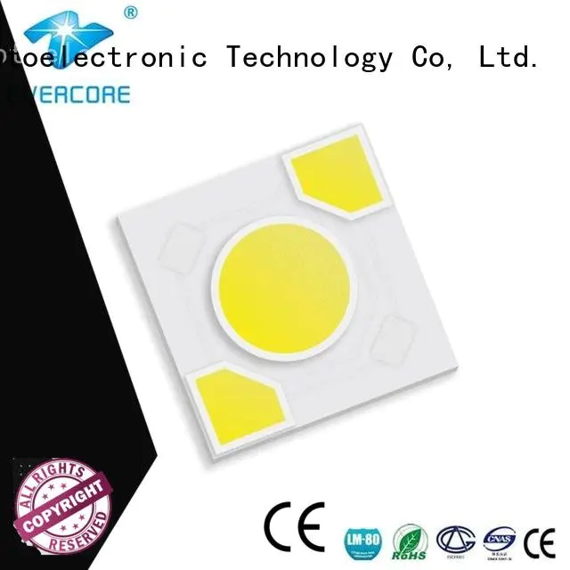 Evercore led cob modules warm light ac