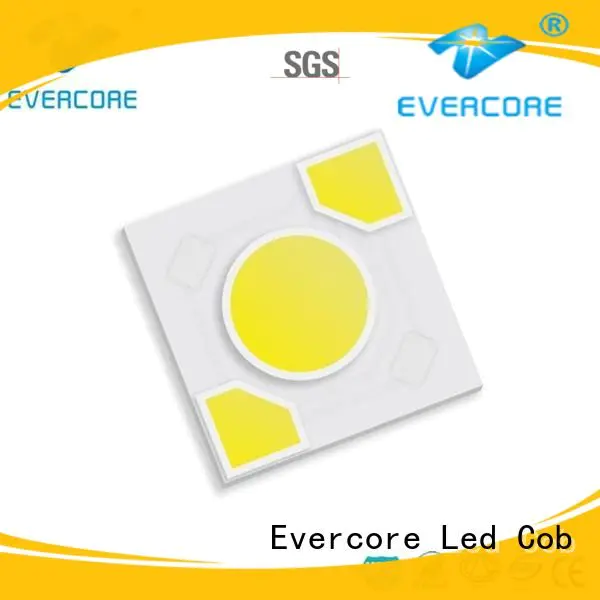 Evercore cob modules ac warm light led