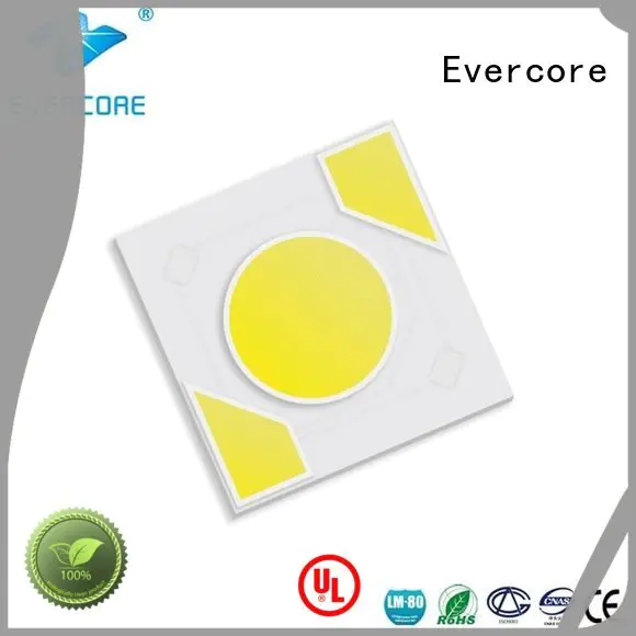 Evercore led cob ac warm light modules
