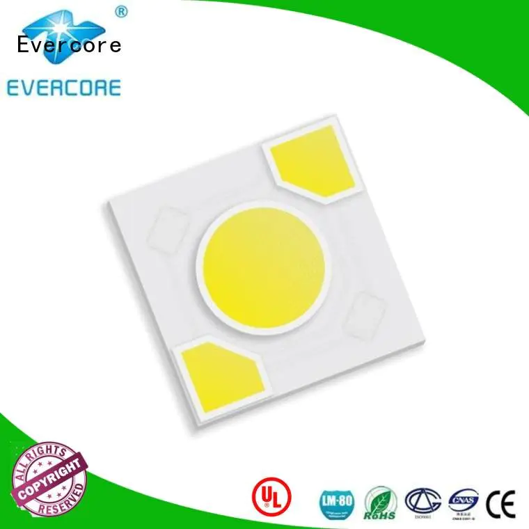Evercore Brand ac warm light led modules