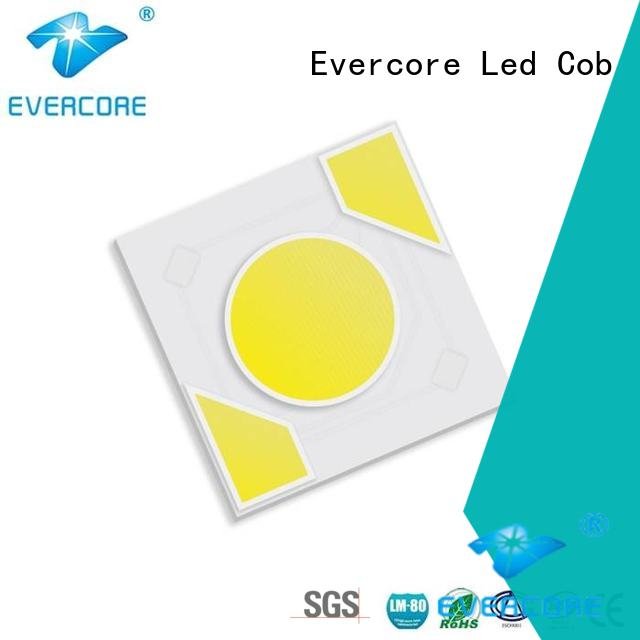 warm light ac led cob Evercore