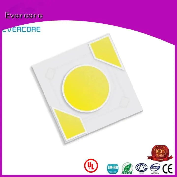 warm light led Evercore Brand Light Engine COB Modules