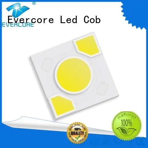 Hot warm light cob led modules Evercore Brand