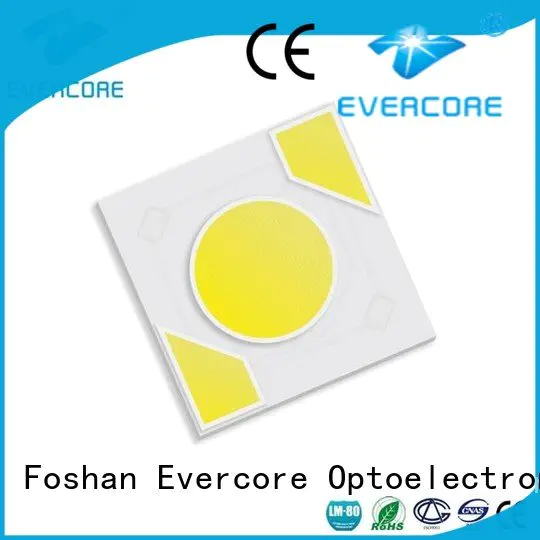 Evercore Brand modules ac warm light cob led