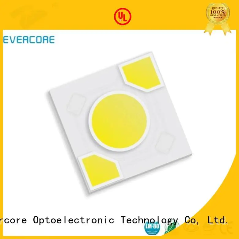 Evercore modules cob warm light