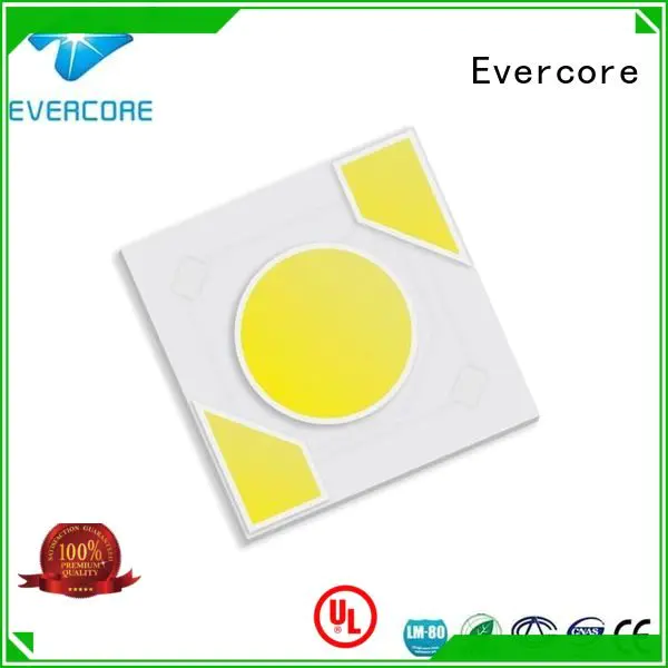 Evercore Brand modules warm light led ac