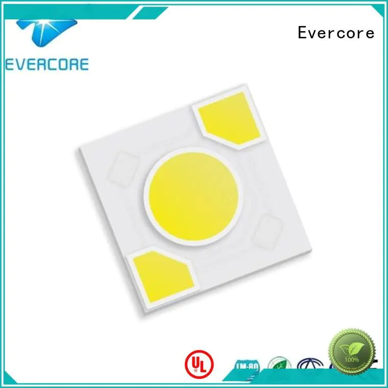 Quality warm light Evercore Brand led Light Engine COB Modules