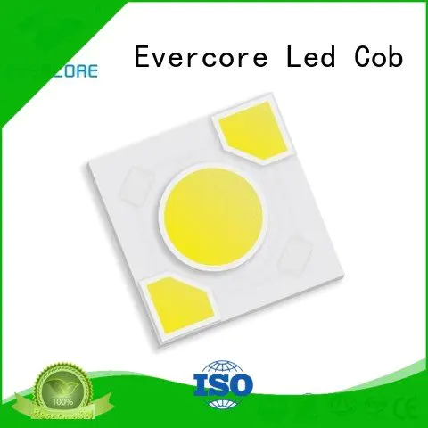 warm light ac led modules Evercore
