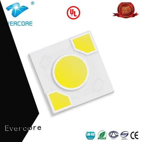 warm light cob led ac modules Evercore