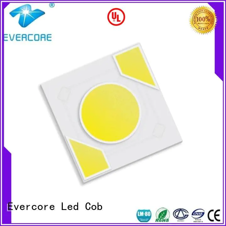 Hot warm light ac modules led Evercore Brand