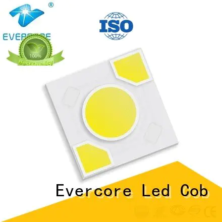 led
 ac
 modules cob
 warm light led Evercore Brand Light Engine COB Modules
