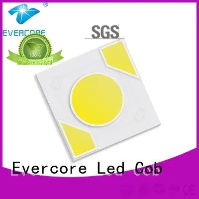 Evercore Brand ac cob led Light Engine COB Modules modules
