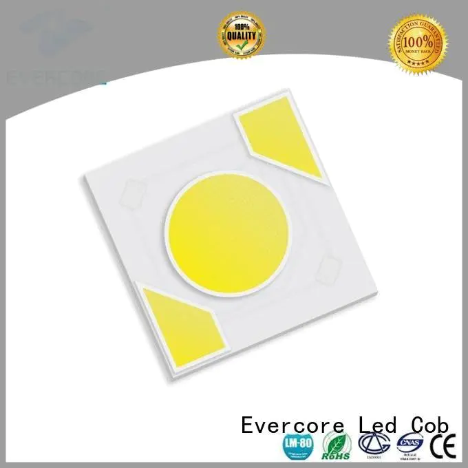 warm light cob ac Evercore Brand