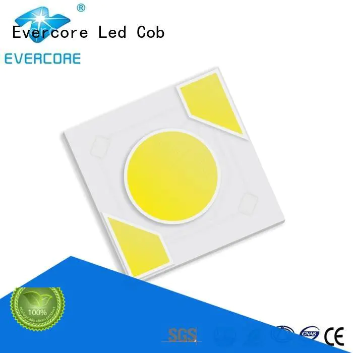 warm light cob Evercore Brand Light Engine COB Modules
