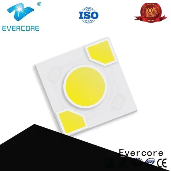 warm light ac cob Evercore Brand