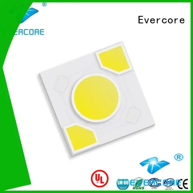 warm light led Light Engine COB Modules Evercore Brand