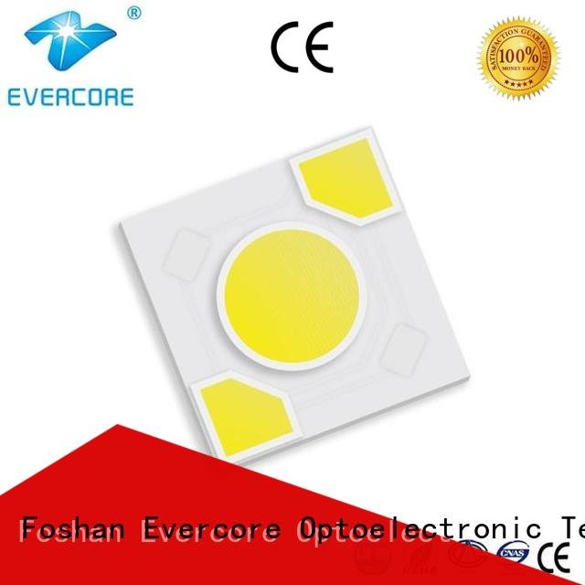 Evercore Brand modules warm light led cob