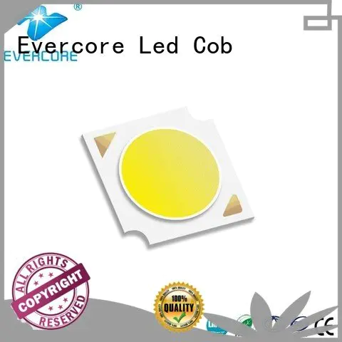 best cob led grow light led Evercore Brand Grow lamps