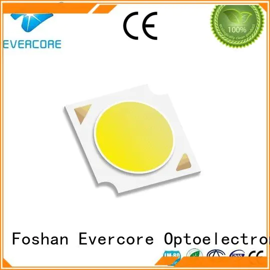 best cob led grow light full spectrum led High CRI Evercore
