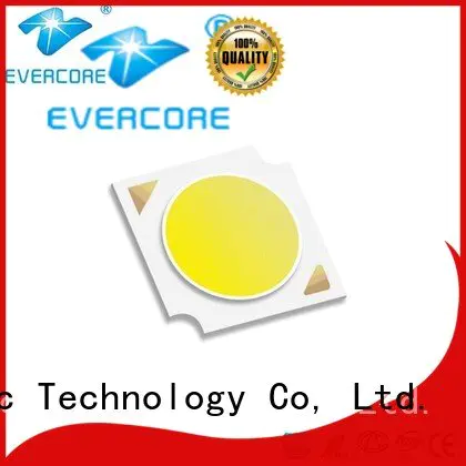 best cob led grow light High CRI Evercore Brand Grow lamps