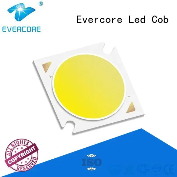 Evercore Brand cob High CRI best cob led grow light led full spectrum