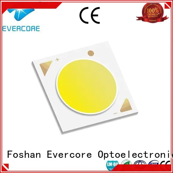 Evercore Brand cob full spectrum best cob led grow light led High CRI