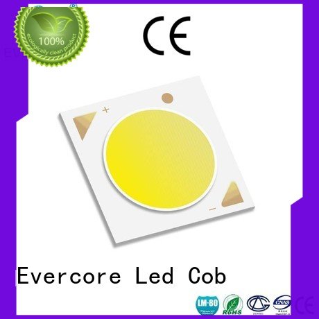 best cob led grow light led High CRI Evercore Brand