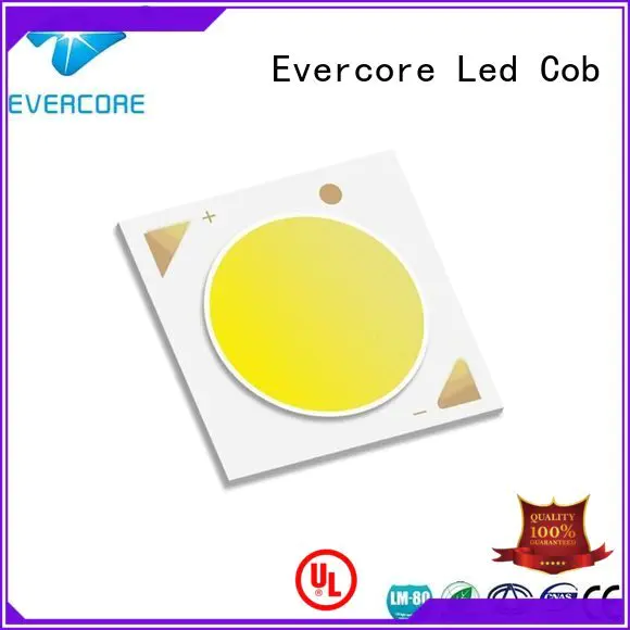 full spectrum cob High CRI best cob led grow light Evercore