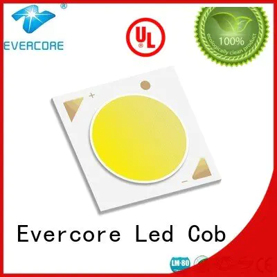 Evercore led Grow lamps cob full spectrum