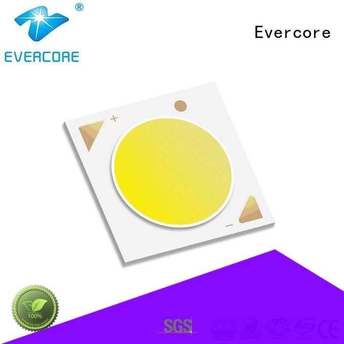 High CRI led Evercore best cob led grow light